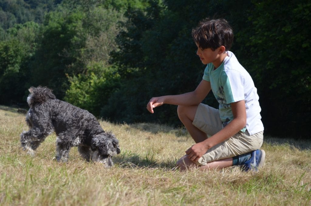 Dog with Child in Field