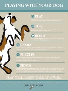 How playing with your dogs makes them healthier ad happier